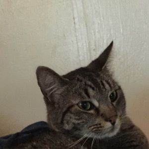 Meet your Posher, Natalia